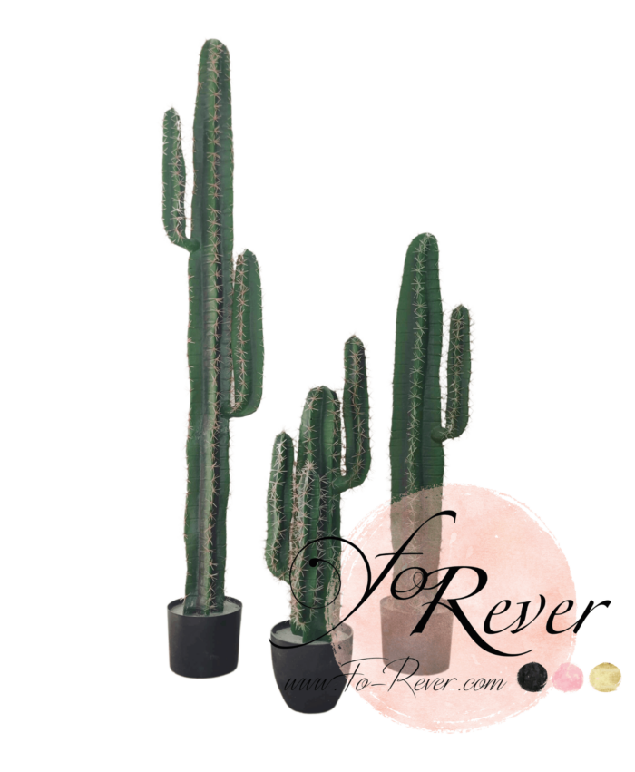 Lot de cactus décoratifs