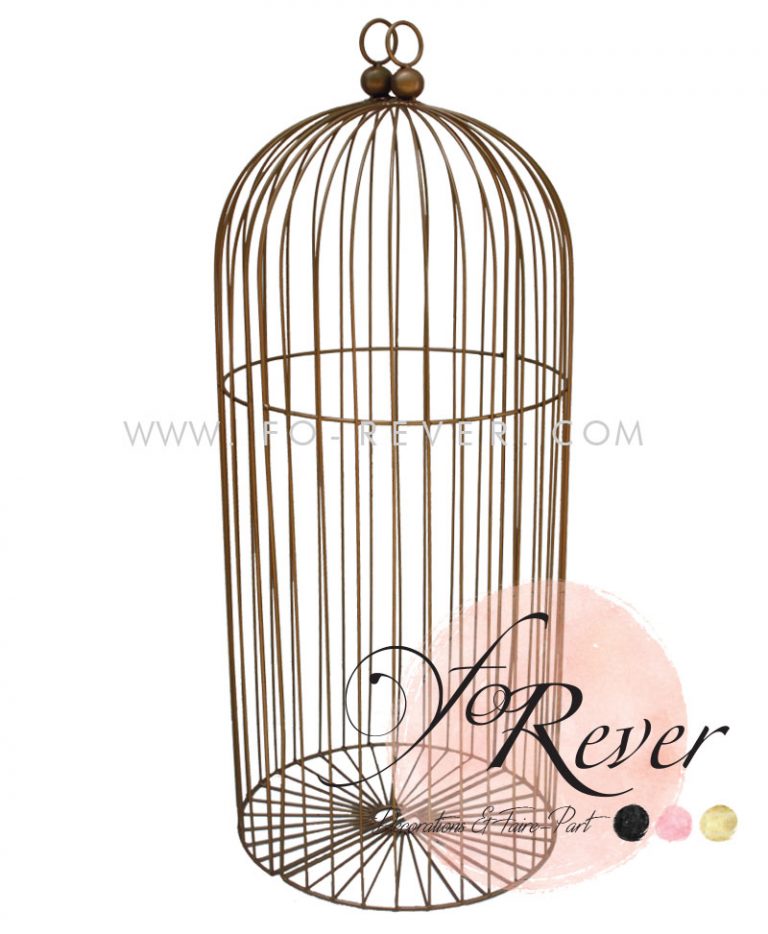 Cages à Oiseaux Dorées